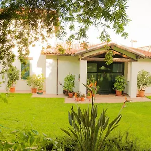 https://villa-aurora-olbia.in-sardinia.net